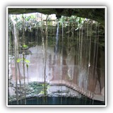 cenote4